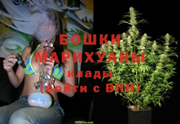 шишки Баксан