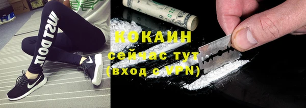 шишки Баксан