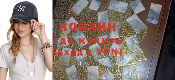 шишки Баксан