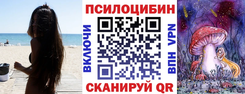 blacksprut ONION  Шебекино  Псилоцибиновые грибы Cubensis 
